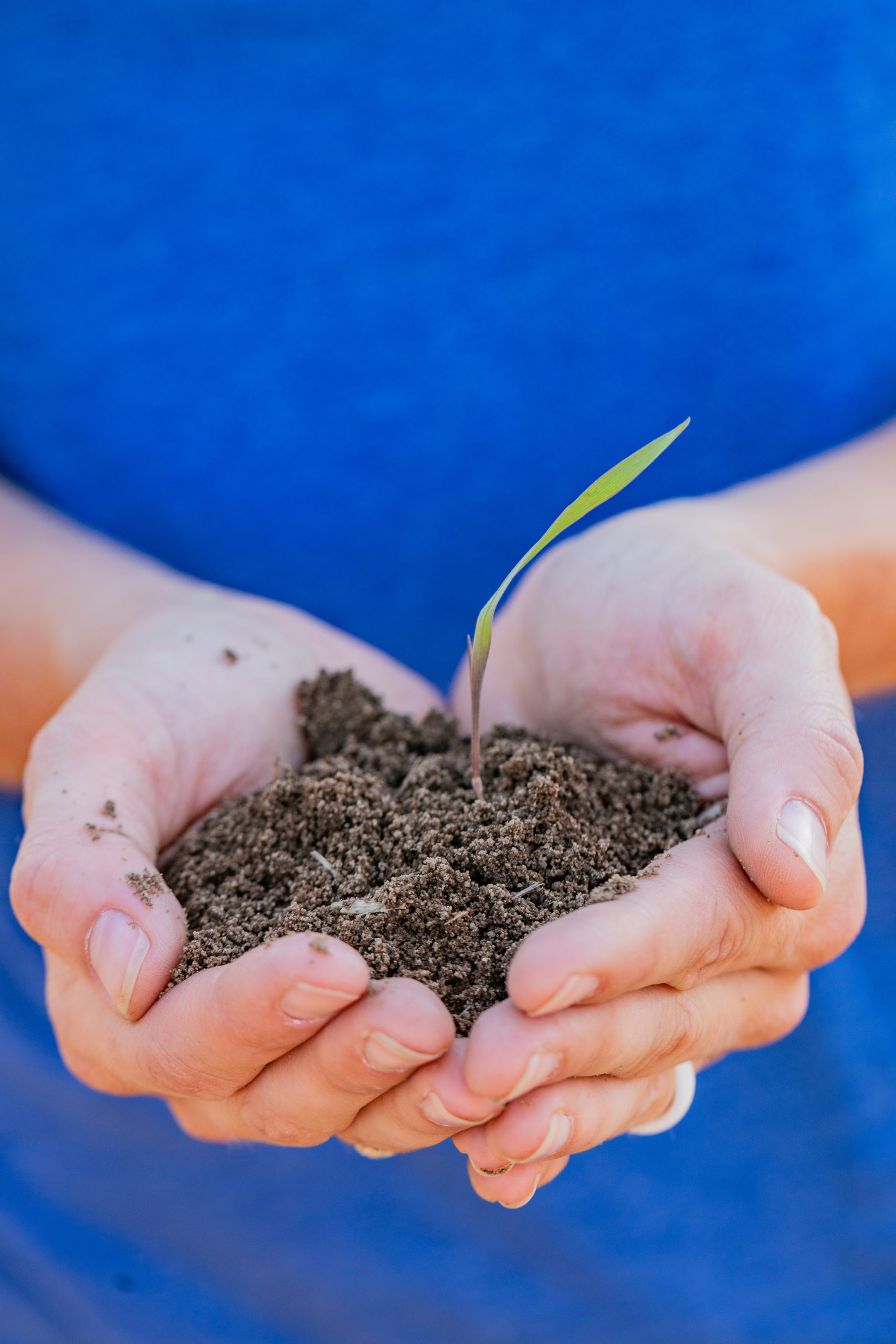 Soil Carbon Testing AgSource Laboratories