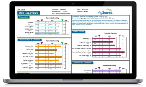 Herd Report Card on Laptop