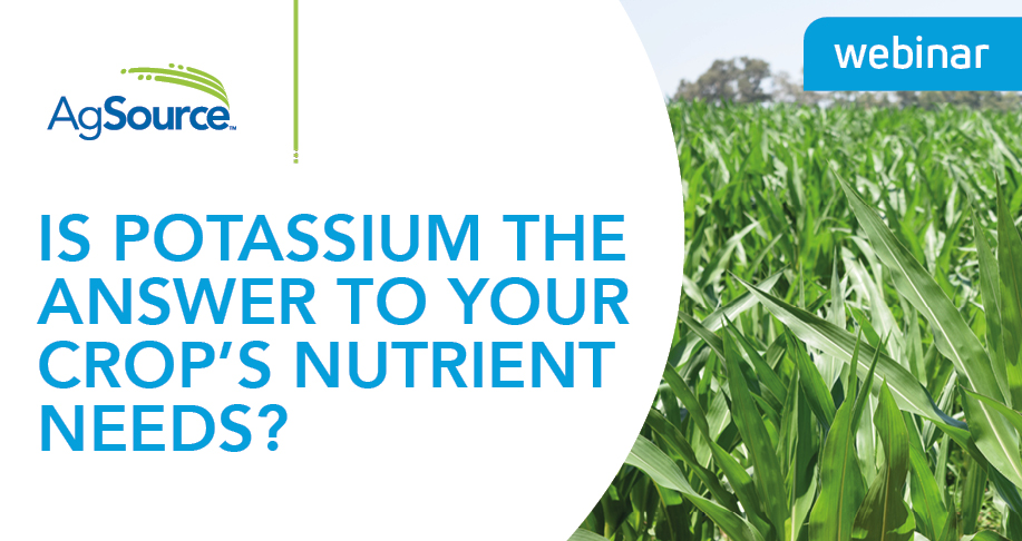 Is Potassium the answer to your crop’s nutrient needs? 