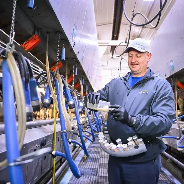 farm worker emptying milk for testing
