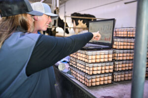 Image of two people looking at computer screen