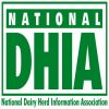 dhia dhia
